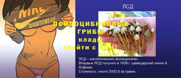 дживик Мегион