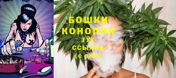 крисы Белокуриха