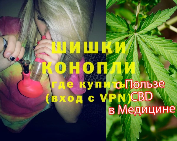 ПСИЛОЦИБИНОВЫЕ ГРИБЫ Гусь-Хрустальный