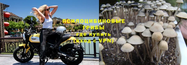 твердый Медногорск