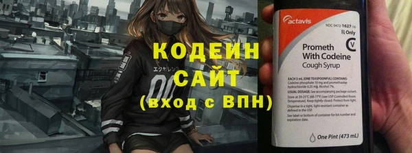 дживик Мегион
