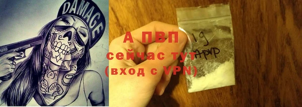 крисы Белокуриха