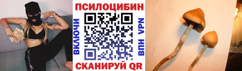 Галлюциногенные грибы Psilocybine cubensis  кракен   Билибино 